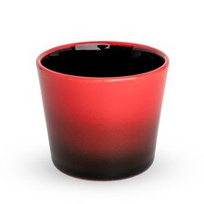 Focus Sake Cup